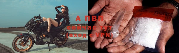 ECSTASY Зеленодольск