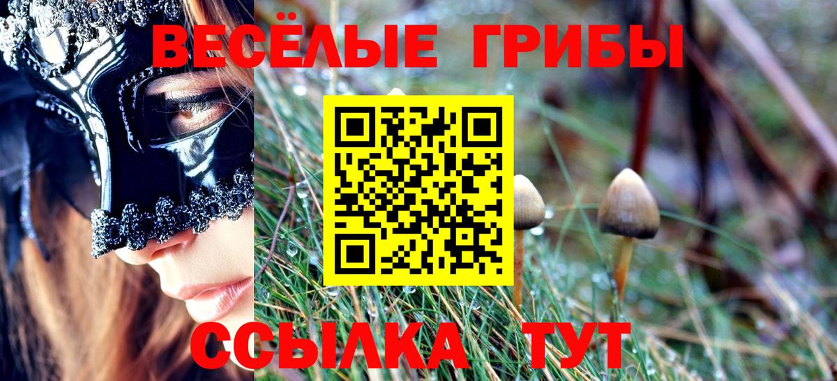 Псилоцибиновые грибы Psilocybe Кимры