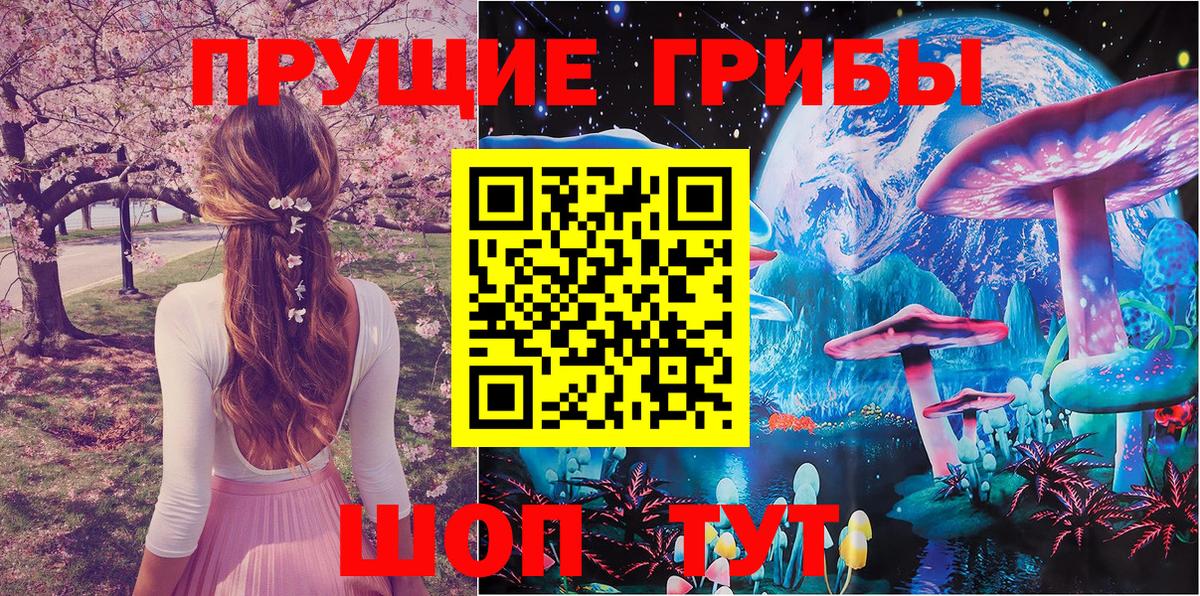 Кимры  магазин  наркотиков  Галлюциногенные грибы ЛСД  Вход с VPN  Псилоцибиновые грибы Psilocybe 