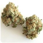 Шишки "White Widow"  (Белая вдова)  Гидропоника -  Бошка VHQ в Кимрах